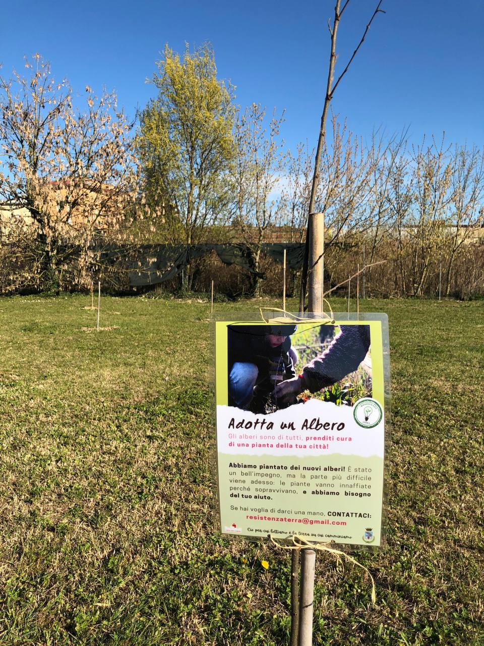 cartello della campagna 'Adotta un albero' su un piccolo nuovo albero