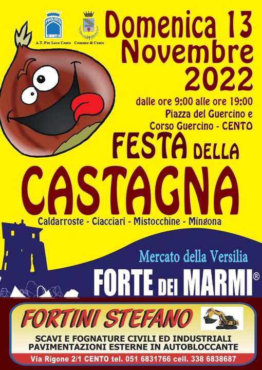 locandina informativa con castagna animata disegnata