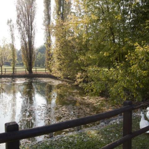 Laghetto del Parco dei Gorghi a Renazzo