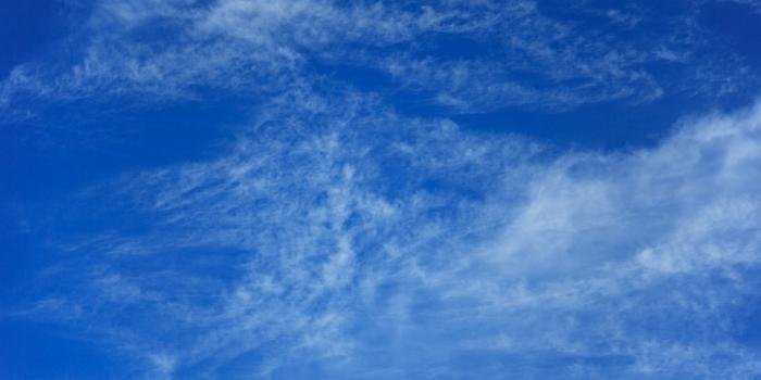 cielo