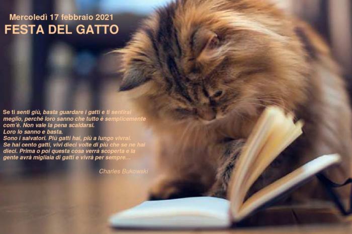 gatto siamese che con la zampa sfoglia una pagina del libro e frase di Charles Bukowski