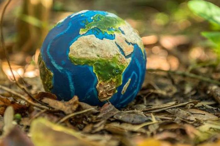 mappamondo appoggiato in un sottobosco