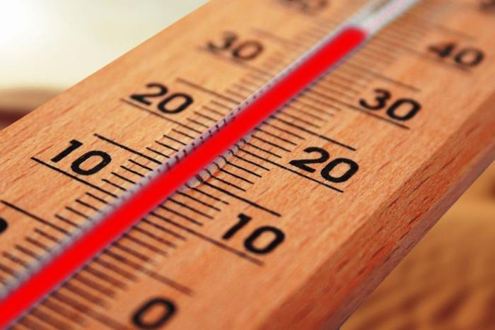 termometro di legno che segna 40 gradi