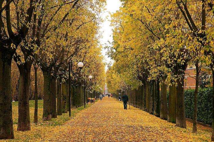 viale dei capuccini