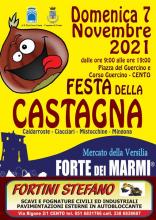 locandina informativa con disegno castagna che ride e logo mercato forte dei marmi