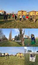 fasi della piantumazione alberi con i volontari di Resistenza Terra nelle vie Malpighi e Tenco a Cento