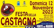 banner festa della Castagna