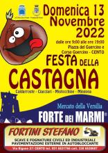 locandina informativa con castagna animata disegnata