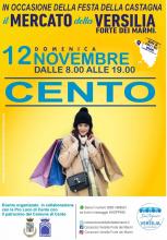locandina mercato della versilia