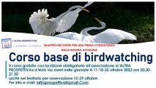 volantino informativo con fotografia due cigni sull'acqua