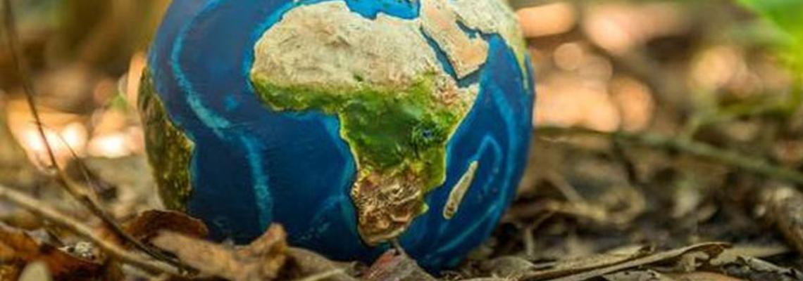 mappamondo appoggiato in un sottobosco