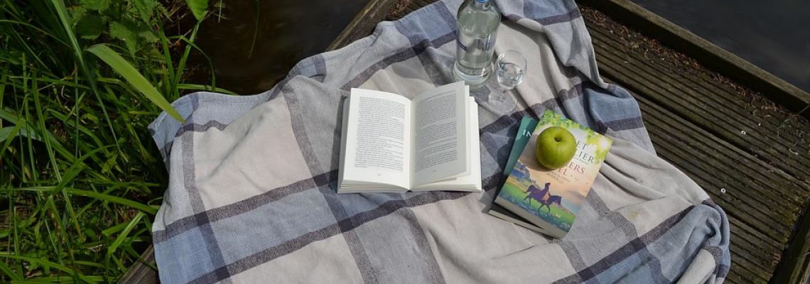 picnic e letture