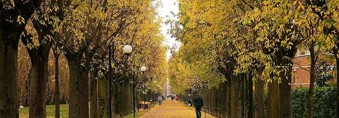 viale dei capuccini