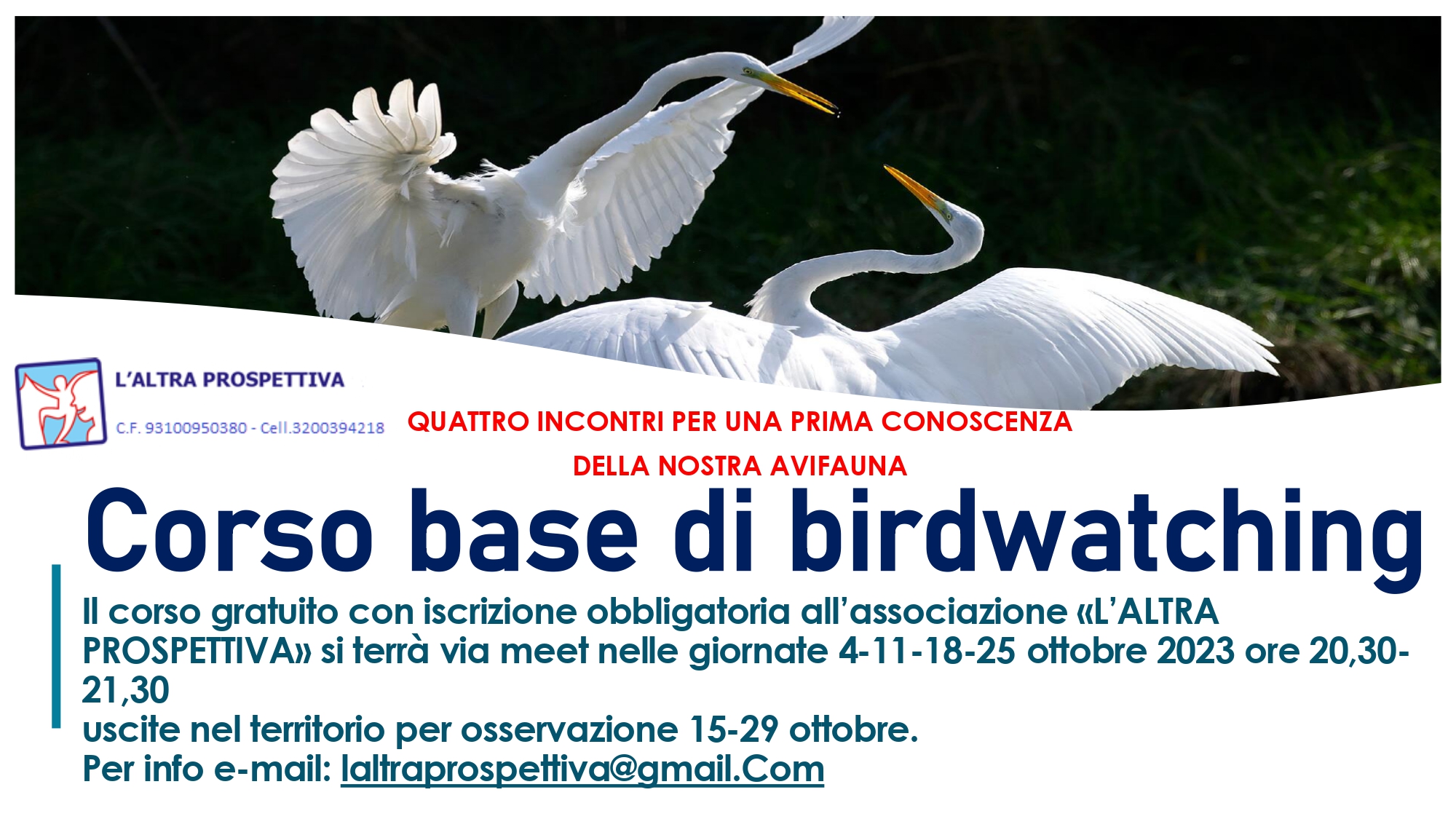 volantino informativo con fotografia due cigni sull'acqua