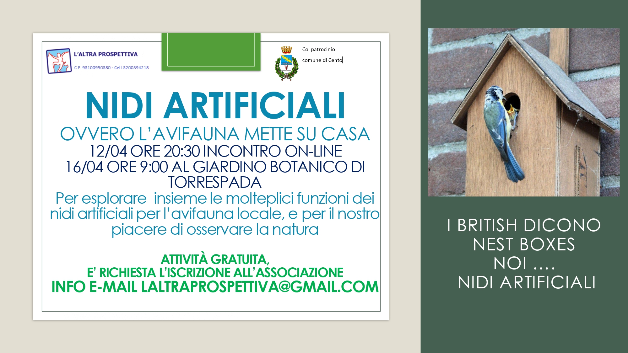cartolina informativa e fotografia nido a casetta con esemplare di uccelli mamma e piccolo